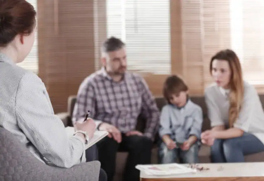 Child Custody and Relocation in International Family Disputes Buckingham